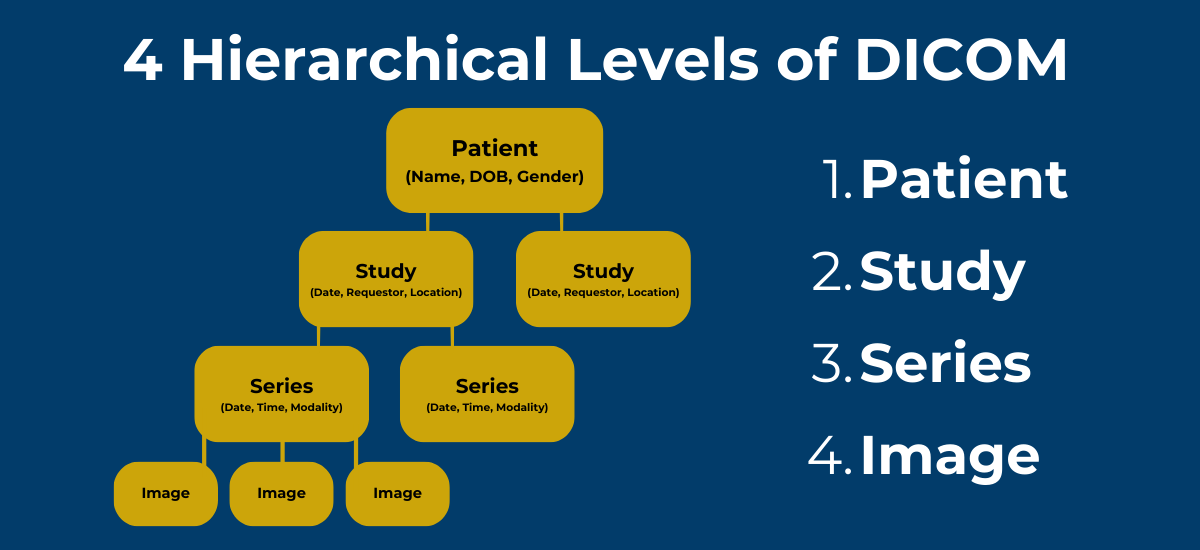 A graphic showing the 4 hierarchical levels of DICOM: Patient, Study, Series, Image